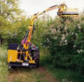 Hedge Trimmer